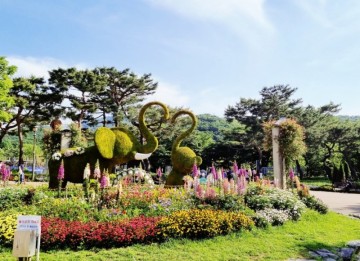 과천 서울대공원 테마가든 장미원 어린이동물원 / 아이와 갈만한 곳