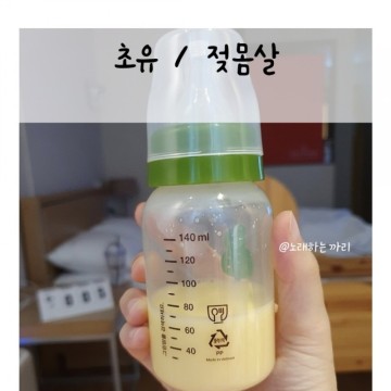 수유일지1) 모유수유 시작 / 초유 / 젖몸살