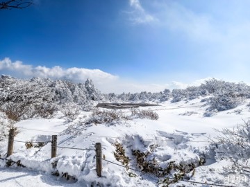 한라산 성판악 등산코스 : 초보코스는 아닌 백록담 겨울 눈꽃산행 + 등산시간 정리