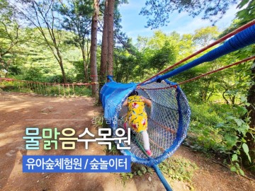 [남양주가볼만한곳] 물맑음유아숲체험원, 서울근교 아이와 가볼만한 숲놀이터 (물맑음수목원)