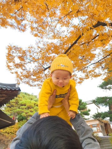 성북동 길상사 주차 아기랑 단풍구경 : 아름다운 절