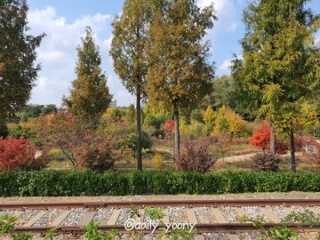 푸른수목원, 서울 구로 단풍 공원 데이트