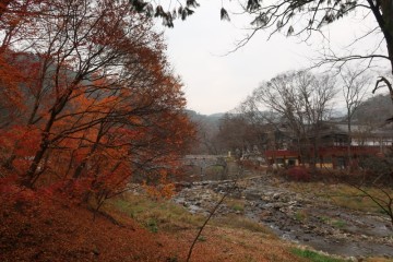 【공주 여행】 산사(山寺), 한국의 산지 승원(僧院) 태화산 마곡사