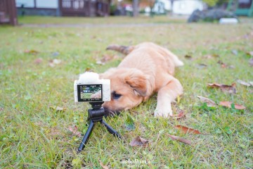 브이로그카메라 소니 ZV-1 유튜브용으로 딱이야!
