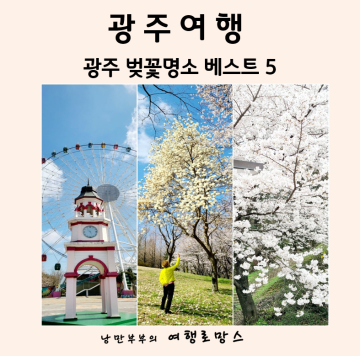 2022년 광주벚꽃 개화시기::현지인이 찾는 광주 벚꽃 명소 베스트 5 (주차방법, 장소 꿀팁)