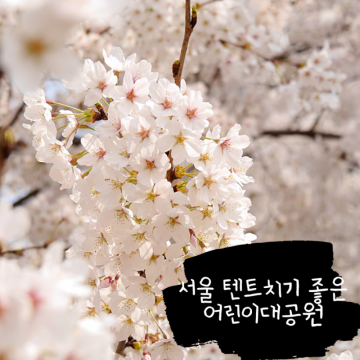 5개월 아기와 가족나들이. 텐트치기 좋은 서울어린이대공원에서 벚꽃놀이(주차요금, 이용팁)