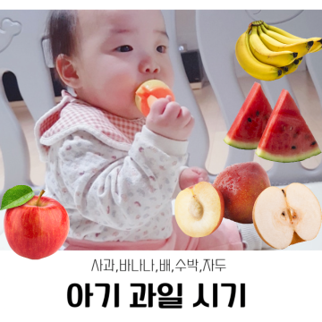 아기 과일 시기 : 사과, 바나나, 배, 수박, 자두 언제부터 먹을까?