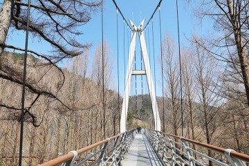 대전여행 4월 장태산자연휴양림 더디오는 봄 스카이타워 출렁다리