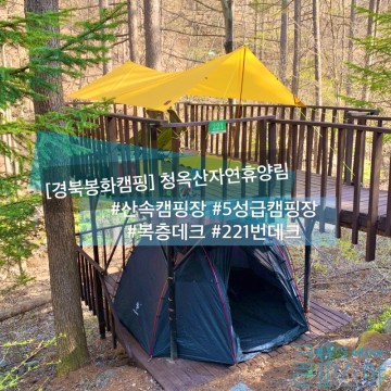 산속 복층캠핑장, 경북 봉화 5성급 캠핑장 청옥산자연휴양림 캠핑장 후기(221번 데크)