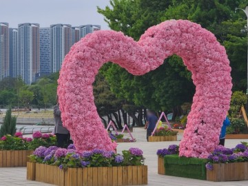 고양 꽃박람회 일산 꽃축제 호수공원 꽃구경 수국도 이뻐!