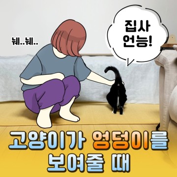 고양이 엉덩이 언어: 보여주고 들이밀고 궁디팡팡 (WIT)
