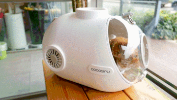 고양이 이동장 실내에서는 숨숨집, 외출할 때 이동가방 하기 좋은 코코시루