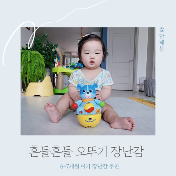 6개월 아기 브이텍 흔들흔들 오뚜기 장난감 추천