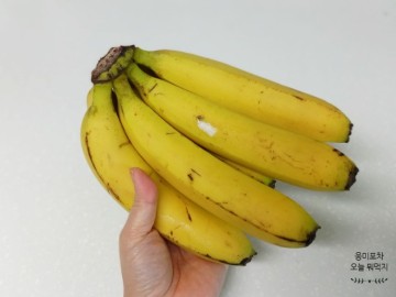 바나나 오래 보관하는 방법 껍질 분리수거 궁금증 해결