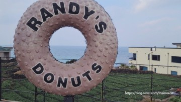 제주도 여행코스 랜디스 도넛은 몇 시에 가야 할까?!