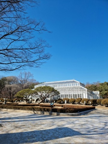 [겨울 나들이하기 좋은 곳] 서울 궁궐 여행  창경궁과 대 온실