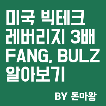 미국 빅테크 3배 레버리지 BULZ, FNGU 비교분석(Feat. ETF와 ETN차이)