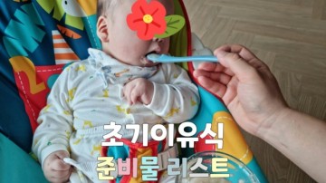 초기이유식 준비물 리스트 ft.내돈내산 구매비용 얼마