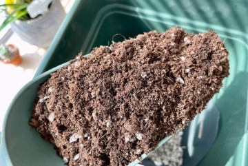홈가드닝 용어 : 분갈이용흙(마사토/난석/원예용상토/배양토 등)
