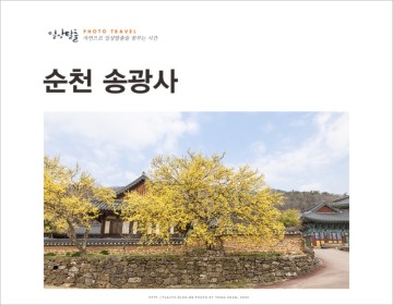 남도 여행 순천 송광사 한적한 여행지 광주근교 드라이브 3월 추억