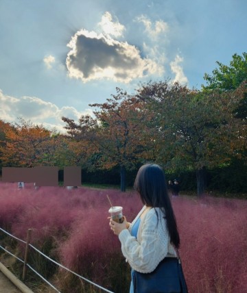 서울 올림픽공원 핑크뮬리 명소 위치 가을 여행지 데이트
