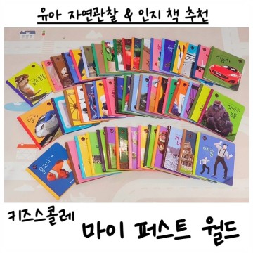 유아전집추천) 자연관찰, 인지필름책 '마이 퍼스트 월드(마퍼월)' 책육아 큰 도움책