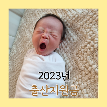 2023년 출산지원금 혜택 첫만남이용권 정리