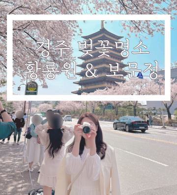 3월 경주 벚꽃 황룡원 & 보문정 주차 및 사진스팟 후기