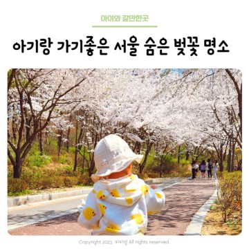 서울 숨은 벚꽃 명소 아기랑 나들이, 서울 강서구 벚꽃 명소 방화근린공원