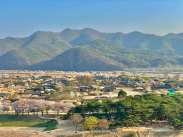 안동 가볼만한곳 안동하회마을 부용대 도산서원 찜닭골목 월영교