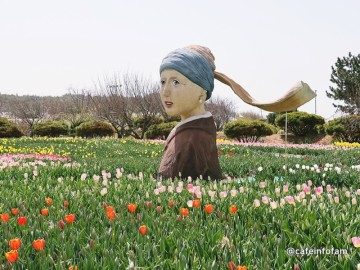 태안 세계튤립 축제 태안 튤립공원 안면도 꽃박람회 봄꽃축제 주말여행 여기 어때?