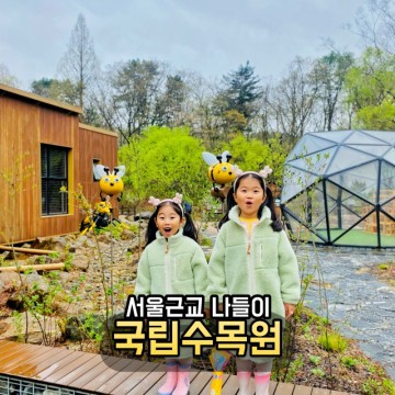 서울근교 당일치기 가볼만한 곳 광릉 국립수목원 아이와 포천 데이트