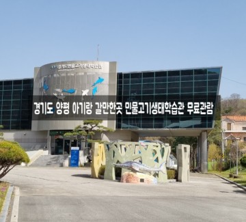 경기도 양평 아기랑 갈만한곳 민물고기생태학습관 무료