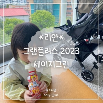 리안 그램플러스 2023 휴대용유모차 기내반입 유모차 추천