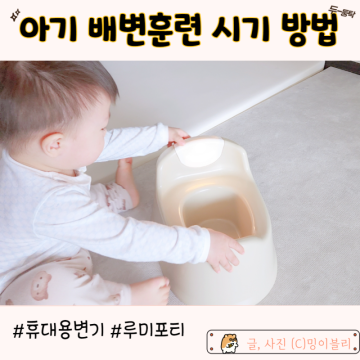아기 배변훈련 시기 방법 유아 휴대용변기 루미포티