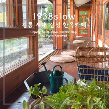 강릉 시내 감성 있는 한옥 카페 1938slow 애견 동반 가능