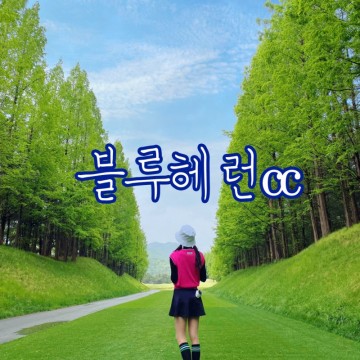 시그니처홀이 예쁜 서울근교 명문골프장 블루헤런cc 서코스→동코스 후기
