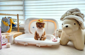 고양이 목욕 네이버펫 기획전 냥빨 방법과 펫트리움 욕조