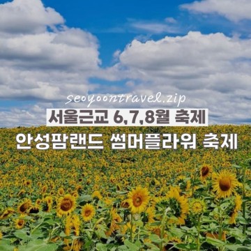 서울근교 축제 가볼곳 : 안성팜랜드 썸머플라워 축제 (6월 ~ 8월)