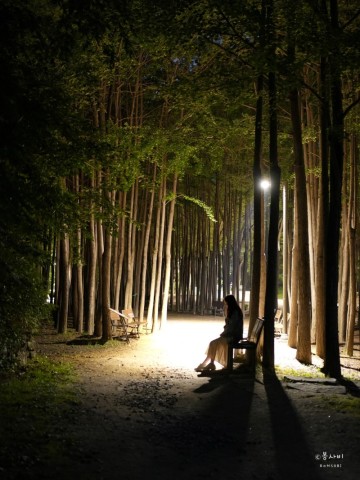 서울 야간 가볼 만한 곳 서울숲 공원 밤 산책 주차장