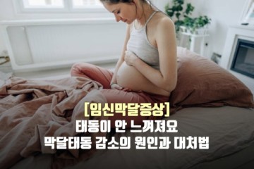 [임신막달증상] 태동이 안 느껴져요 막달태동 감소의 원인과 대처법