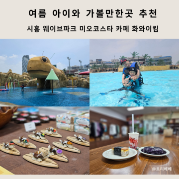 시흥 웨이브파크 미오코스타 카페 하와이킴 여름 아이와 가볼만한곳 추천