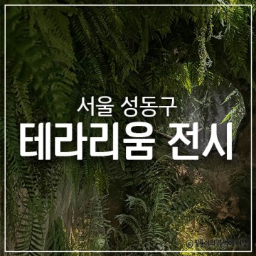 서울 성수동 서울숲 놀거리 섬세이 테라리움 체험 전시 후기! 인공 자연을 온몸으로 느끼다