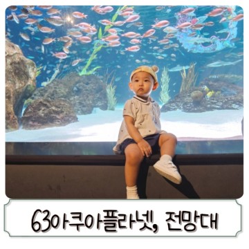 서울 아쿠아리움, 아쿠아플라넷 63 아기랑 방문 후기(전시회, 전망대)