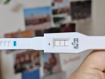 얼리 임신테스트기 임테기 사용시기, 정확도 높이는 임신테스트기 사용법 희미한두줄 오류 뜻