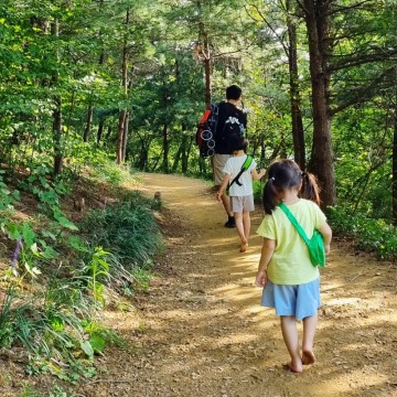 서울근교 정발산 둘레길 맨발걷기 어싱로드와 유아숲체험원
