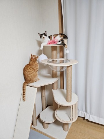 세련된 퀄리티 부비앙 미뇽, 고양이 캣타워 DIY 만들기