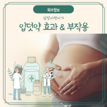 디너지아 디클렉틴 임신초기 입덧시작시기 이유 증상 심할때 약효과 부작용