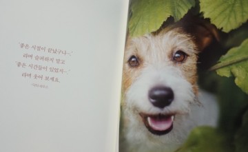 [서평] 기쁨은 어디에나 있어요 - 멋진 강아지사진이 잔뜩!