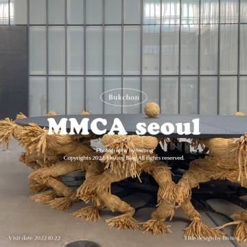 서울 전시 : 국립현대미술관 [최우람 작은 방주] 주말 실내 데이트